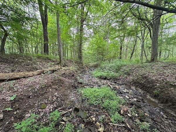 Flat Iron Road , Hunt, NY 14846