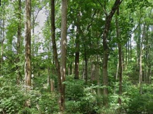 HUGHES SHOP ROAD , WESTMINSTER, MD 21158