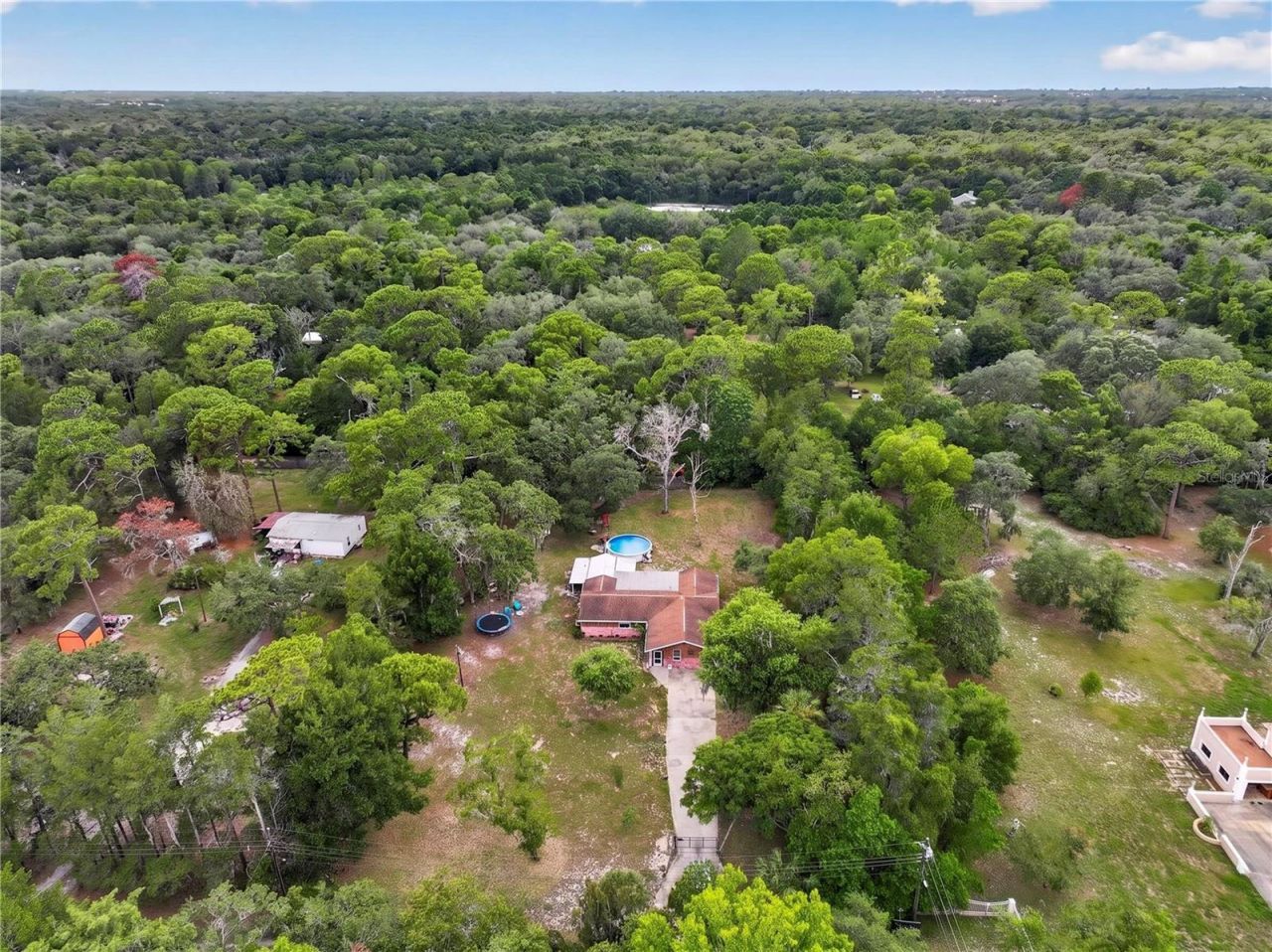 13129 Filbert Street, Hudson, FL 34669 Photo
