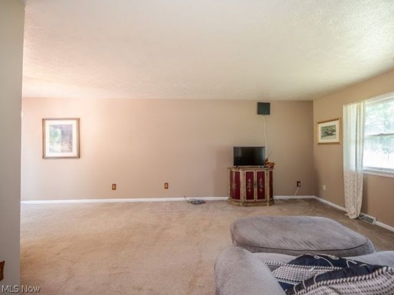3545 Cadwallader Sonk Road, Cortland, OH 44410 Photo 16