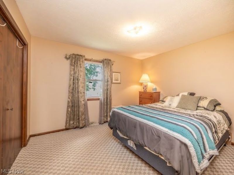 3545 Cadwallader Sonk Road, Cortland, OH 44410 Photo 19