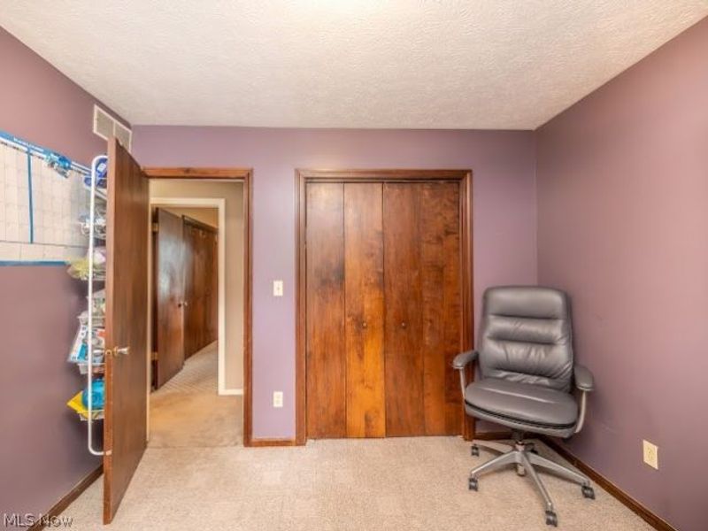 3545 Cadwallader Sonk Road, Cortland, OH 44410 Photo 24