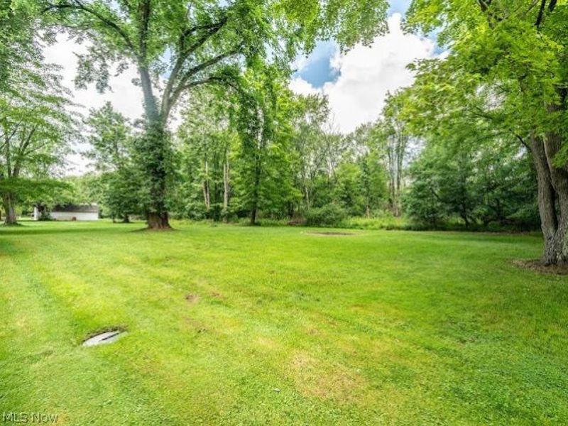 3545 Cadwallader Sonk Road, Cortland, OH 44410 Photo 37