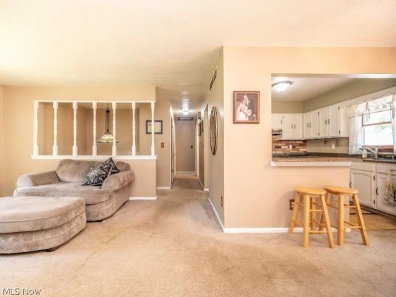 3545 Cadwallader Sonk Road, Cortland, OH 44410 Photo 4