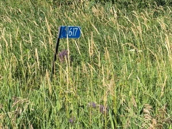 11617 70th Avenue , Milaca, MN 56353