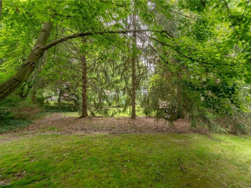 322 Great Oaks Trail, Wadsworth, OH 44281 Photo 13