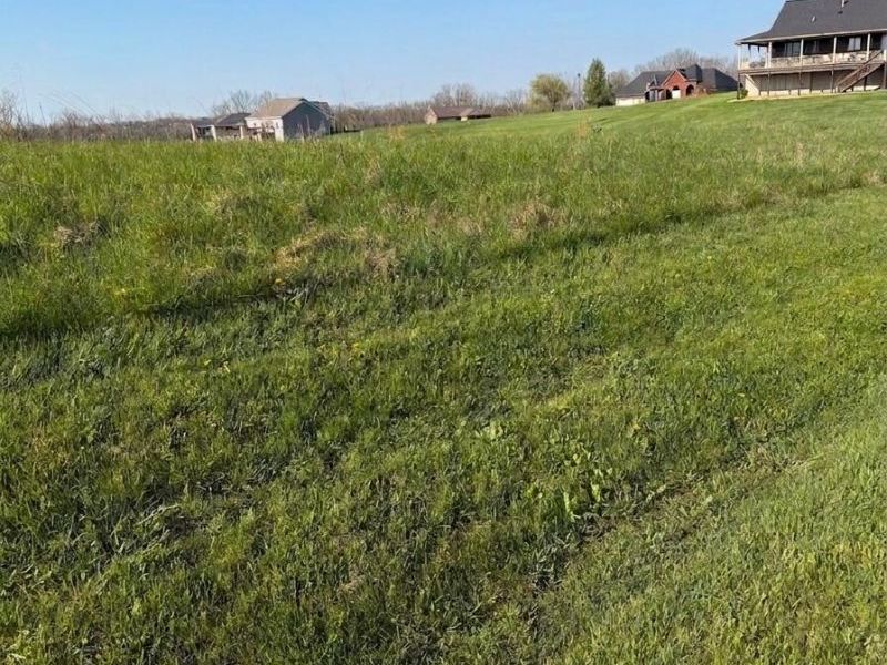 2460 Barnes Road, Williamstown, KY 41097 Photo 2