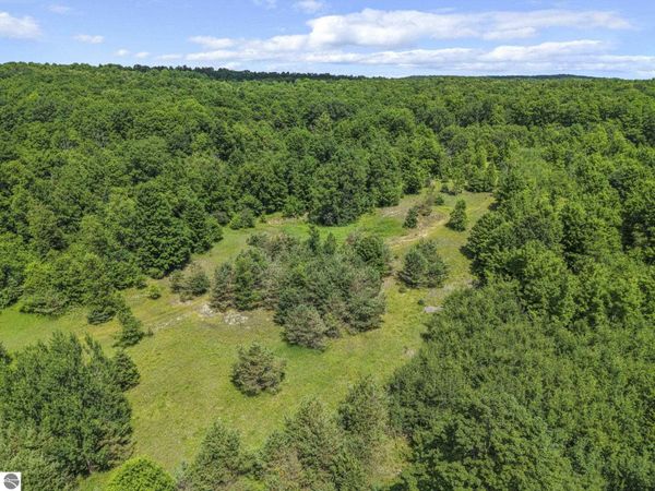 6320 Morey Road N, Lake City, MI 49651