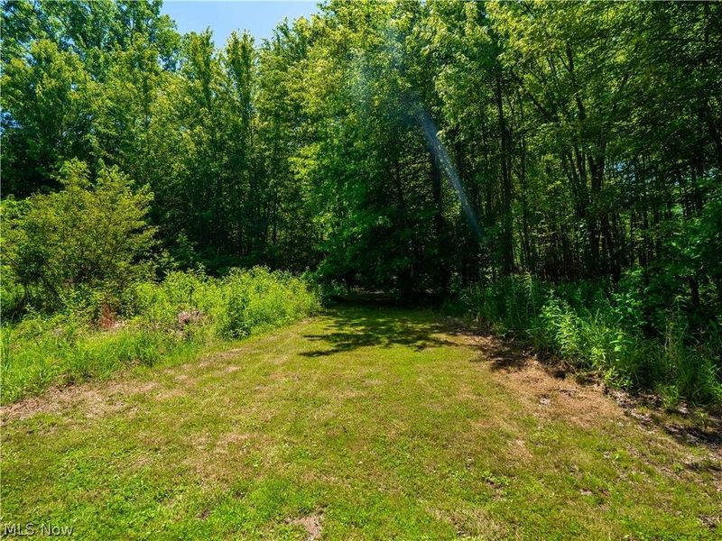 26243 Folley Road, Columbia Station, OH 44028 Photo 16