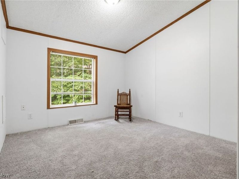 3339 Cottage Grove Road, Akron, OH 44319 Photo 22