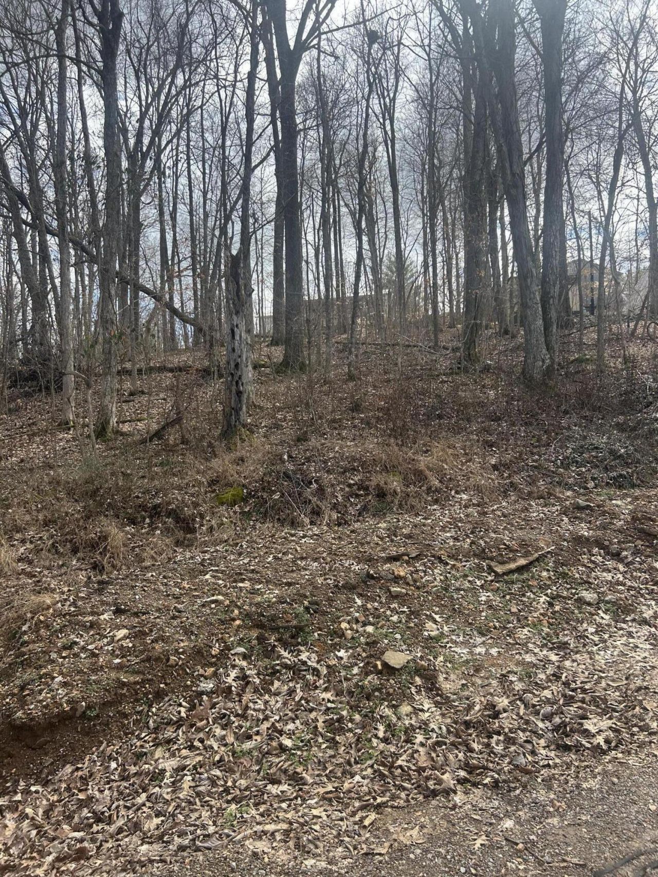Rockastle Shores Ferrell Circle, Lot #26 I, Cadiz, KY 42211 Main Photo