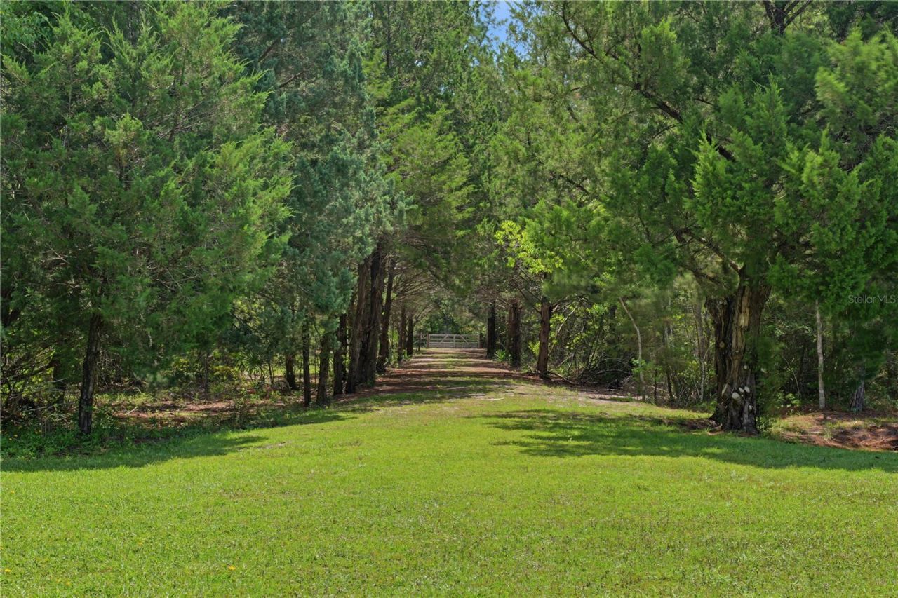 153897 County Road 108, Yulee, FL 32097 Photo