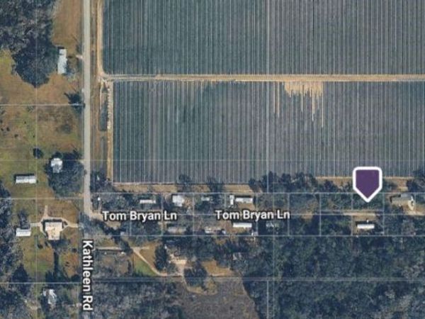 3617 TOM BRYAN LANE , LAKELAND, FL 33810