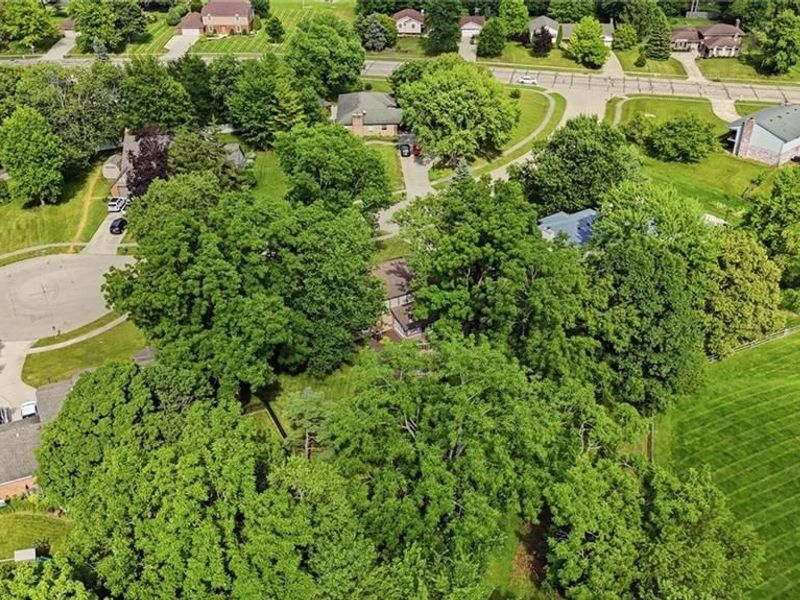 316 Beacon Court, Washington Township, OH 45458 Photo 4