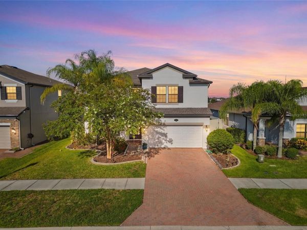 1806 NATURE VIEW DRIVE , LUTZ, FL 33558