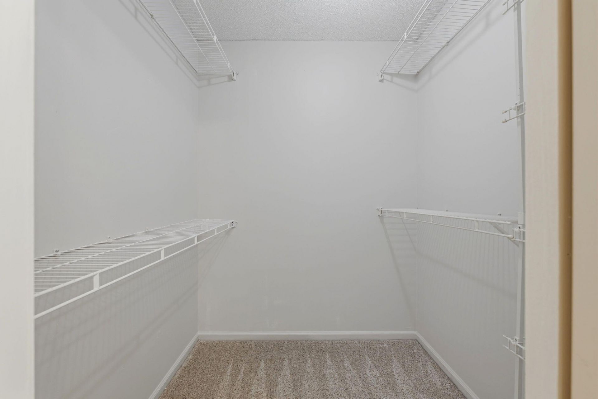 104 Shellywood Lane Photo 33