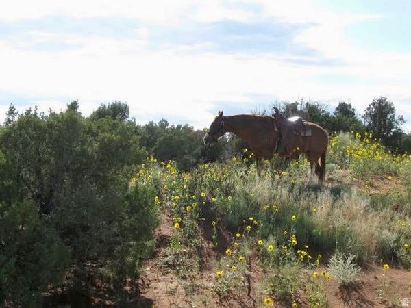 5929 W 350 S, Roosevelt, UT 84066