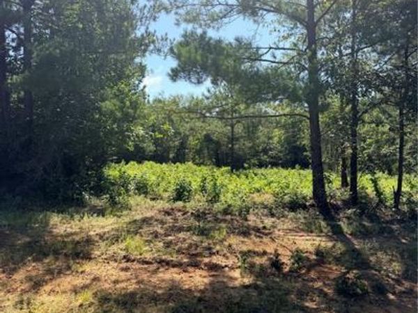 224 HUGHART Road, Pollock, LA 71467
