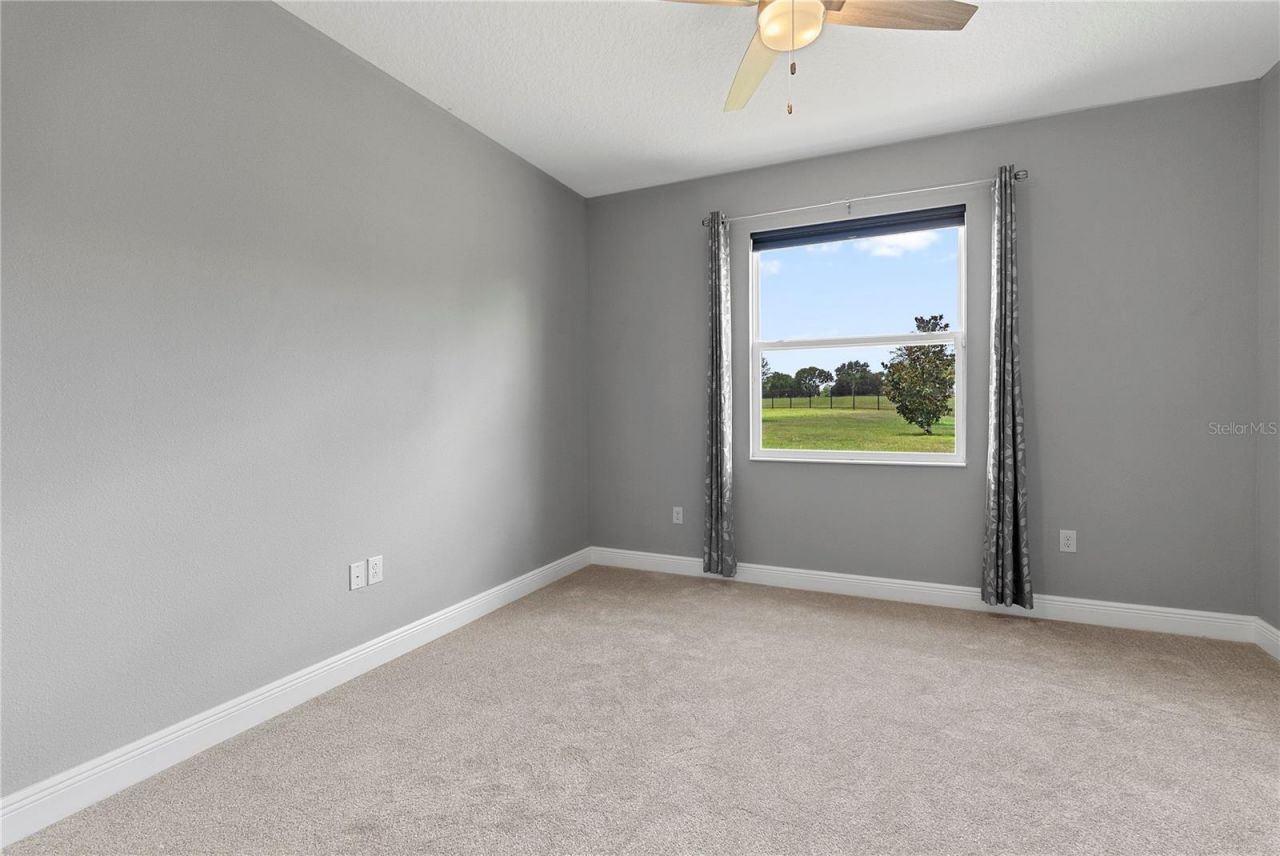 8113 Bridgeport Bay Circle, Mount Dora, FL 32757 Photo