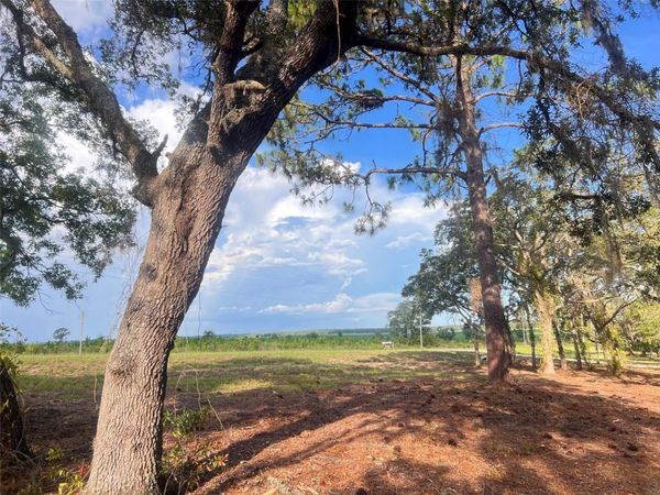 LEVY STREET , WILLISTON, FL 32696