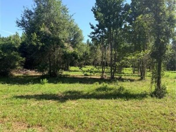 216 HUGHART Road, Pollock, LA 71467