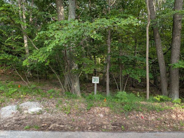 N Silver Ridge Road, Unit Lot 31, Mears, MI 49436