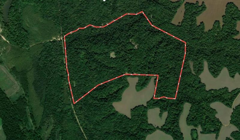 000 Sandy Branch Road, Bardwell, KY 42023