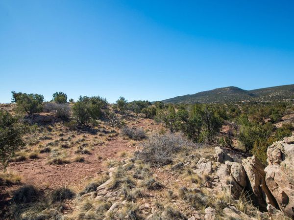 234 N Wild Primrose , Placitas, NM 87043