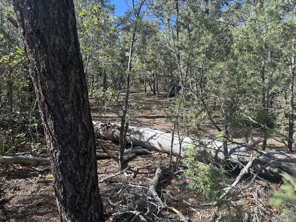 9 Camino Sombreado, Tijeras, NM 87059