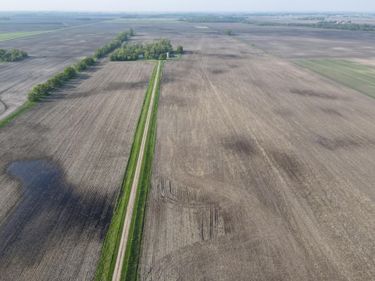 TBD 90th St, Benson, MN 56215