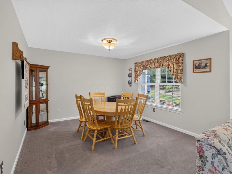 292 Village Drive, Johnstown, OH 43031 Photo 20