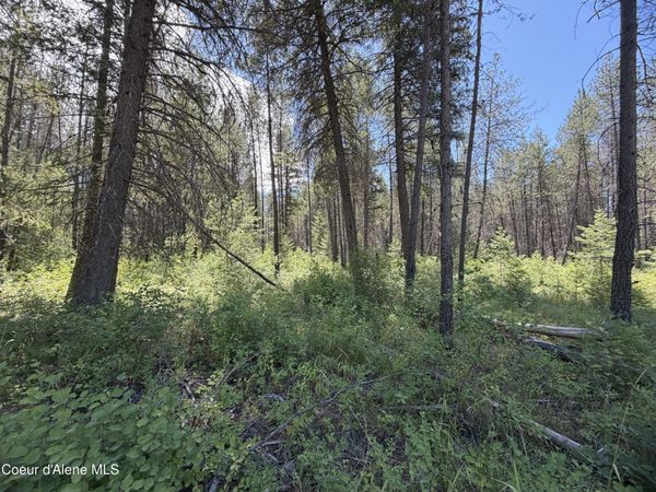 46 Ares WAY , Priest River, ID 83856