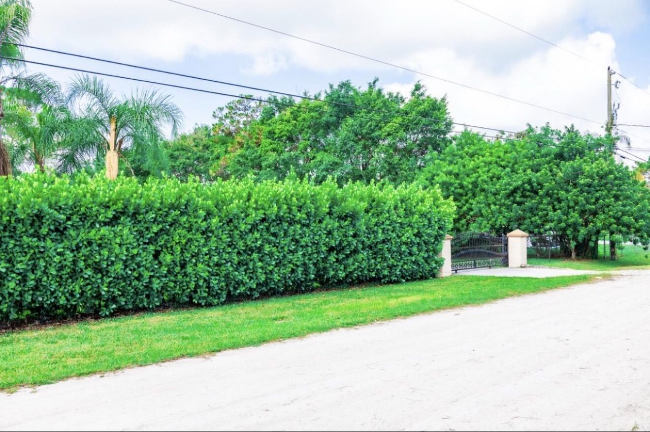 12288 82nd Lane N, The Acreage, FL 33412 Photo