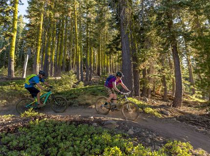 14774 Alder Creek Road, Truckee, CA 96161 Photo