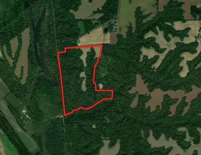 000 Sandy Branch Road, Bardwell, KY 42023