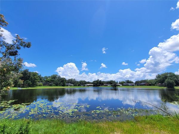708 WARREN ROAD, LUTZ, FL 33548
