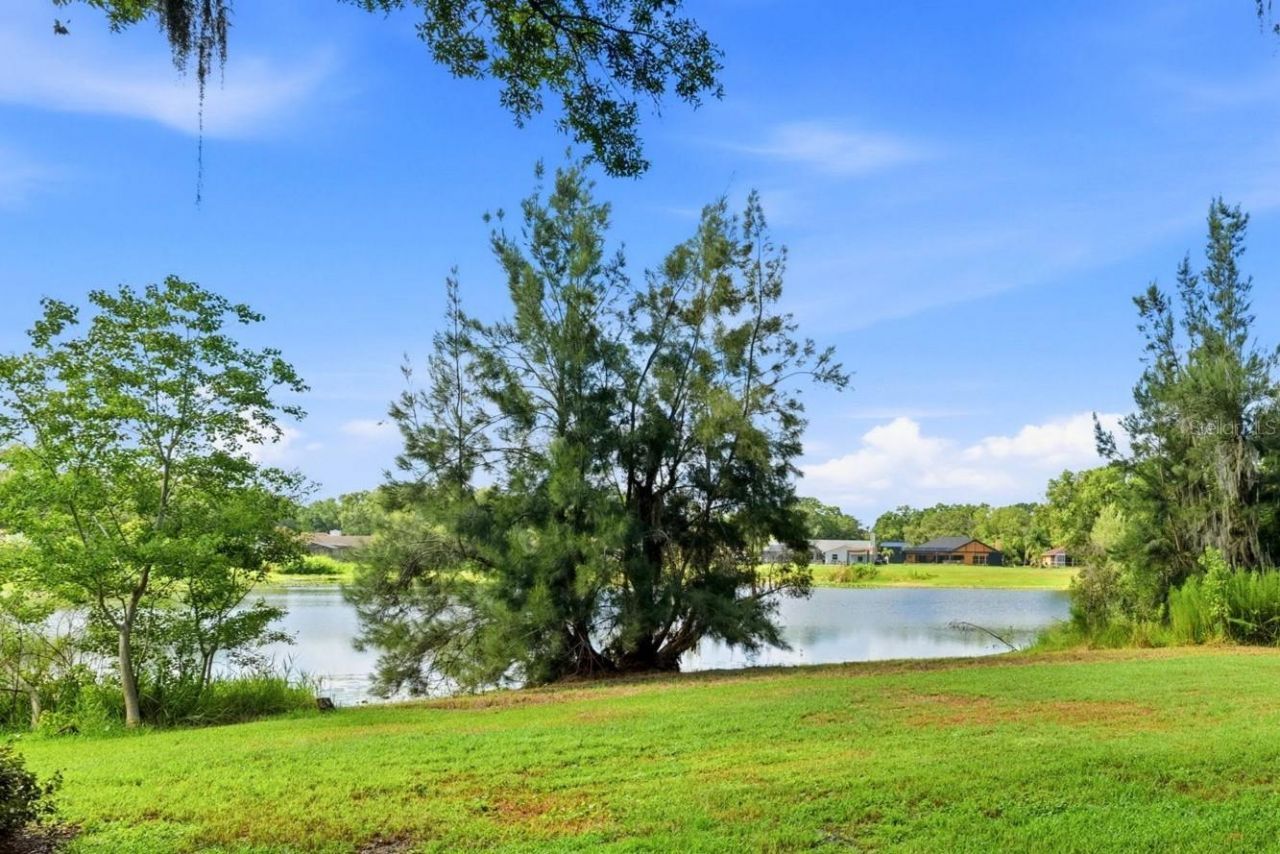 708 Warren Road , Lutz, FL 33548 Photo
