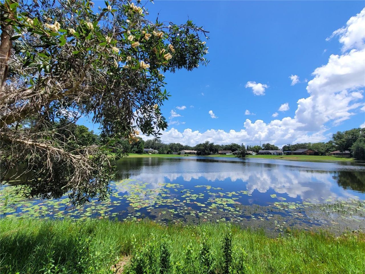 708 Warren Road, Lutz, FL 33548 Photo