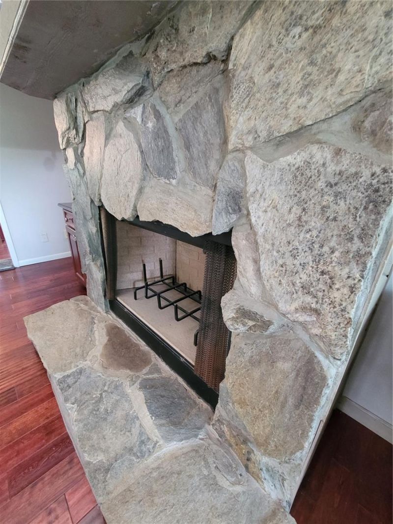 708 Warren Road, Lutz, FL 33548 Photo