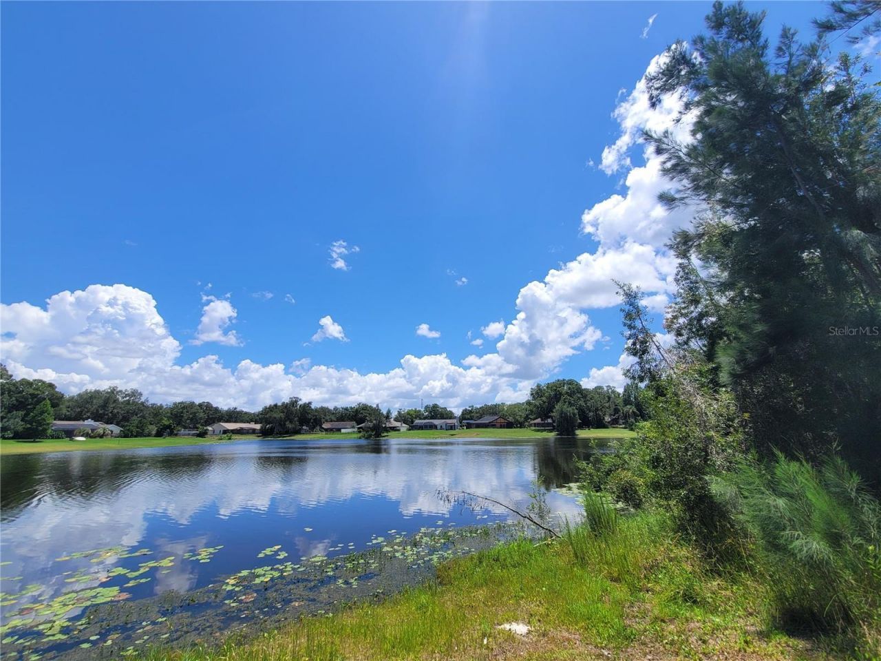 708 Warren Road, Lutz, FL 33548 Photo