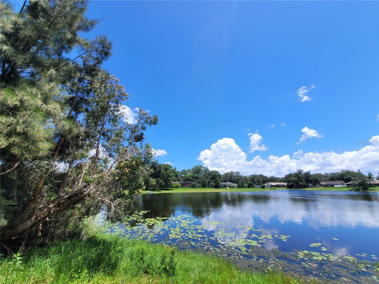 708 Warren Road, Lutz, FL 33548 Photo