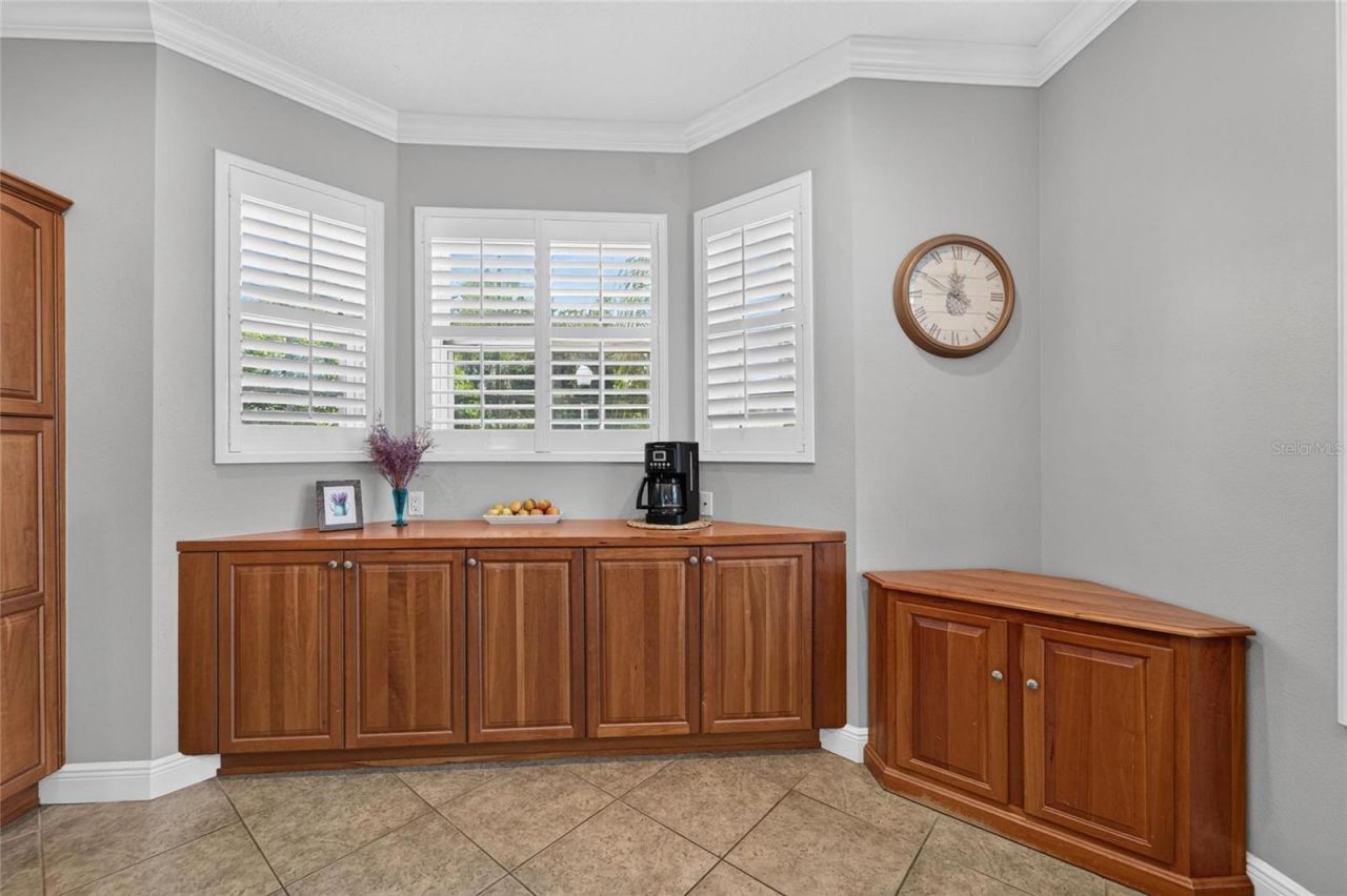 339 Manatee Lane, Tarpon Springs, FL 34689 Photo