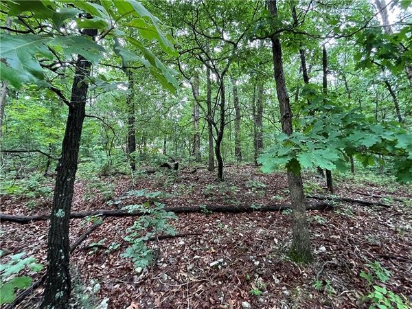 Lot 3, Block 6 Dunstable Drive , Bella Vista, AR 72714