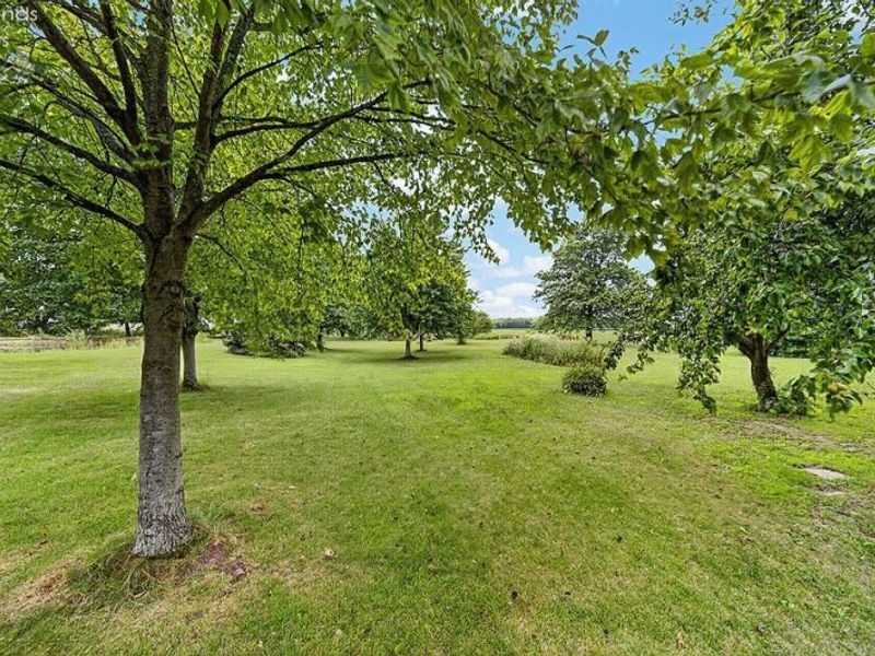 6428 County Road 330, Fostoria, OH 44830 Photo 8