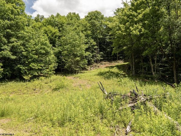 Lot 14 Lake Island Drive, Belington, WV 26250