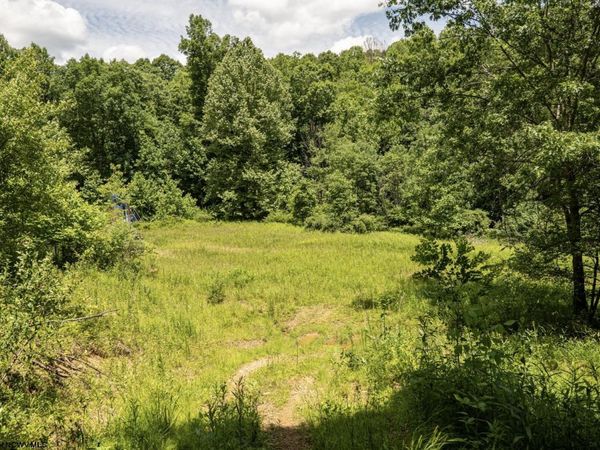 Lot 16 Lake Island Drive, Belington, WV 26250