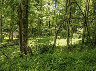 Lot 19 Lake Island Drive, Belington, WV 26250