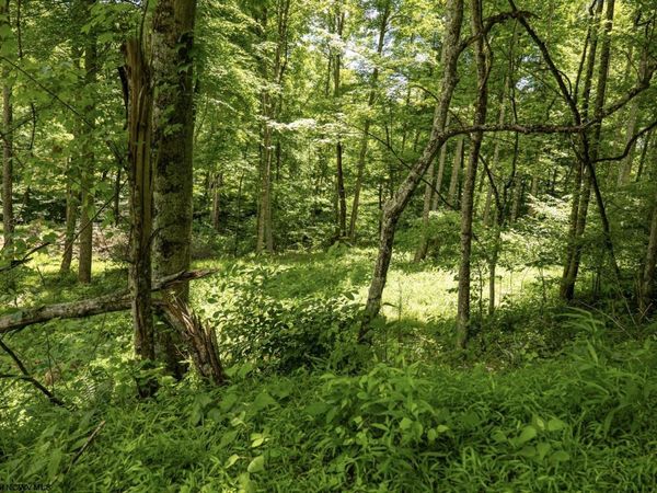 Lot 19 Lake Island Drive, Belington, WV 26250