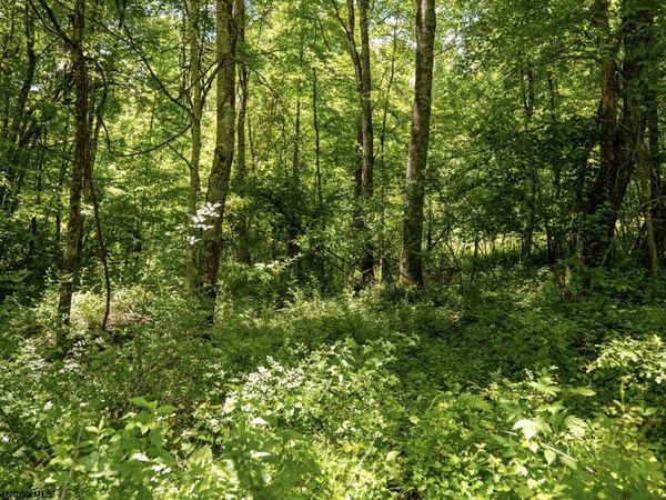 Lot 23 Lake Island Drive, Belington, WV 26250