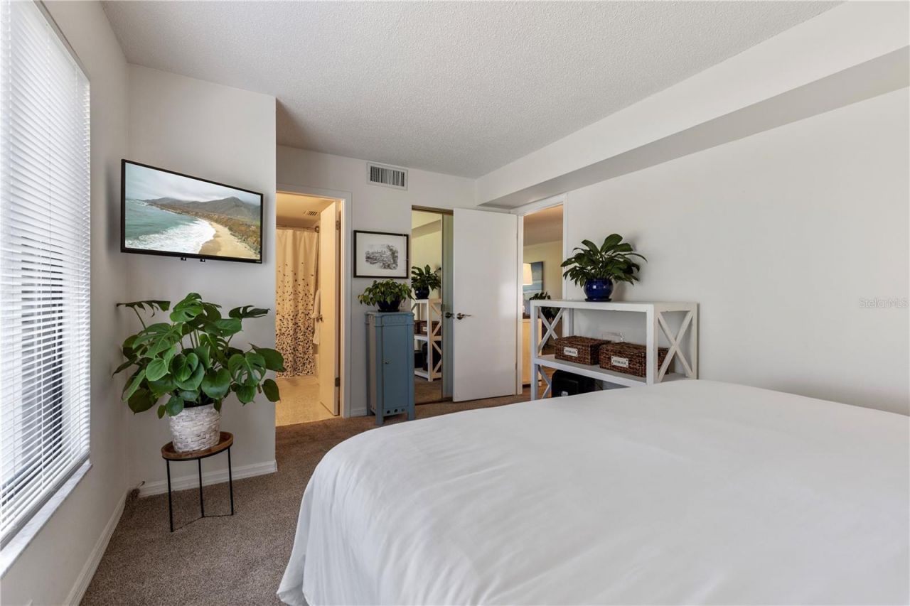 6104 Palma Del Mar Boulevard S, Unit 102A, Saint Petersburg, FL 33715 Photo